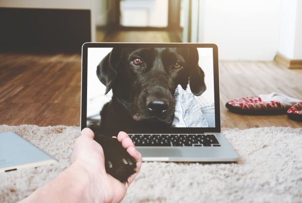 using intelligent call management